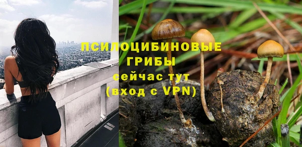 прущая мука Алзамай