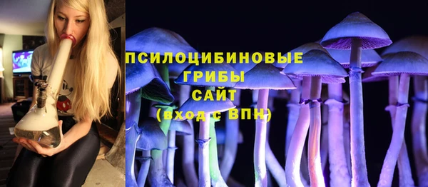 стафф Алексеевка