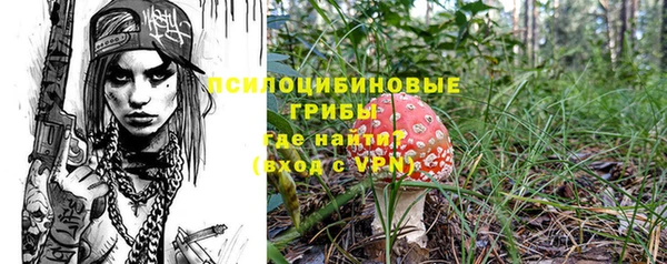 МДПВ Алексин