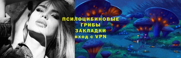 прущая мука Алзамай