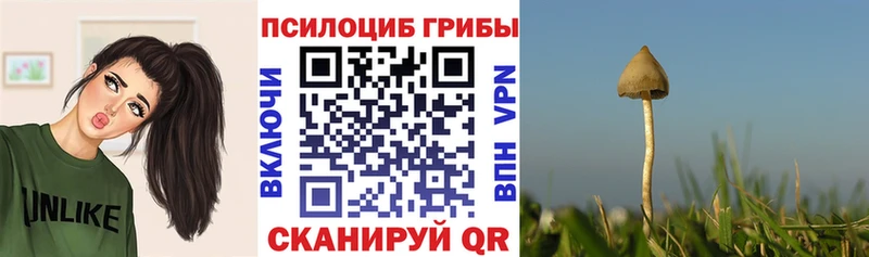 мега ССЫЛКА  Тейково  Галлюциногенные грибы GOLDEN TEACHER  наркошоп 