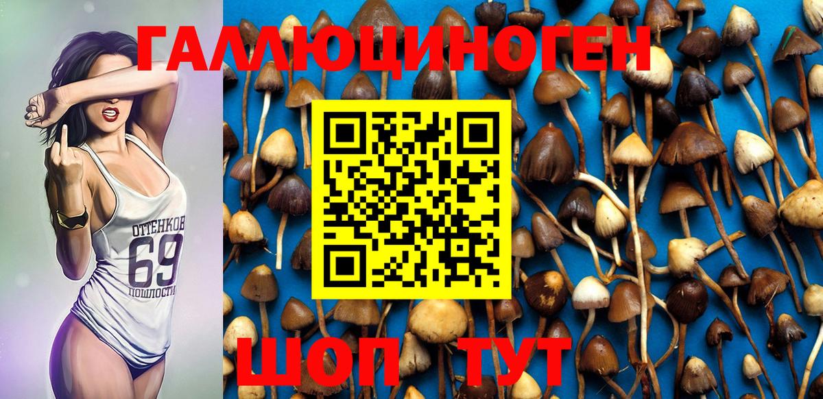 Тейково  Галлюциногенные грибы Psilocybe  Галлюциногенные грибы мухоморы  Вход с VPN 